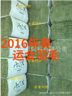 被毁约前CBA外援厄泰尔已经下机 但签约被巴萨主席叫停